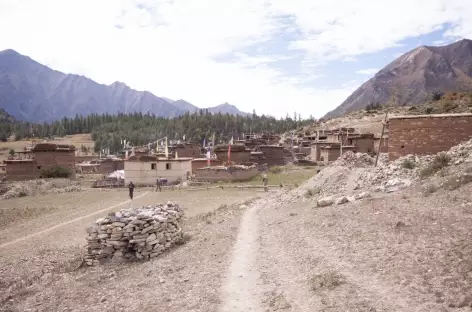 Trek > Camp du lac Phoksundo (3610 m)