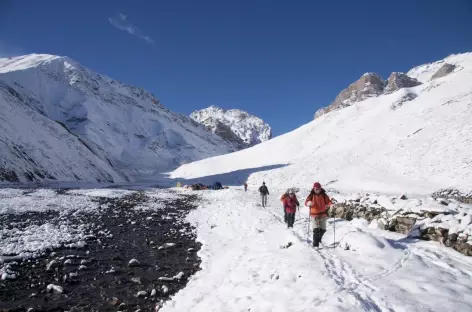 Trek > Gand La (5350 m), Entrée au Haut Dolpo > Shey Gompa (4350 m)