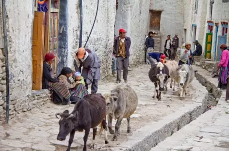Dans les rues de Lo Manthang Mustang - Népal