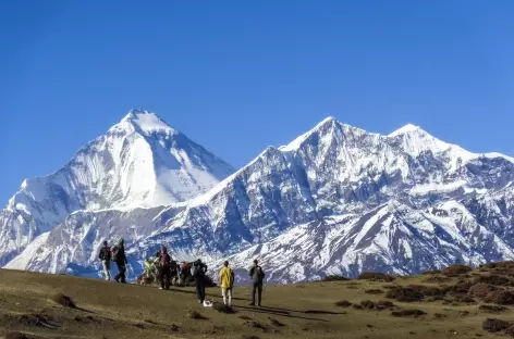 Le Dhaulagiri - Népal