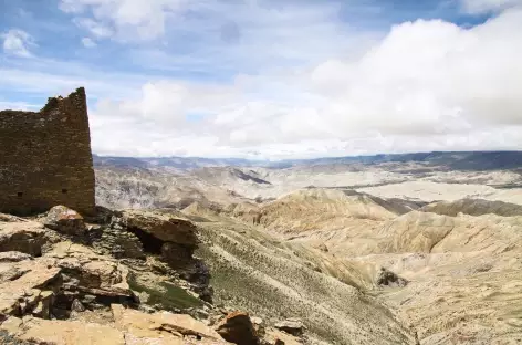 Trek > Kimbu Dzong (4600 m) > Samdzong Khola (4110 m)