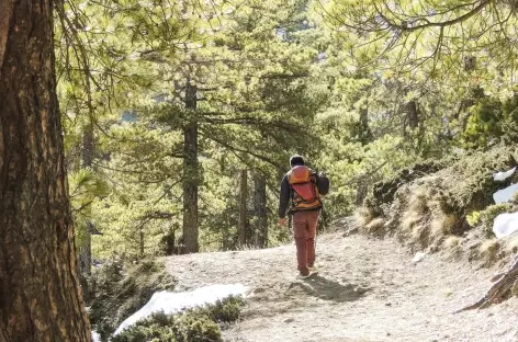 Sur le sentier - Népal