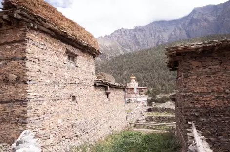 Trek > Lang Khola (3950 m)