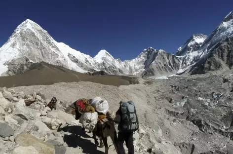 En montant vers Gorak Shep - Népal