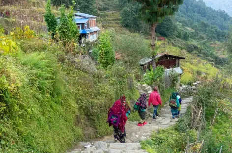 Entre Barpak et Laprak - Manaslu - Népal
