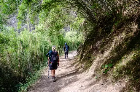 Entre Jagat et Lokpa vallée de Tsum- Népal