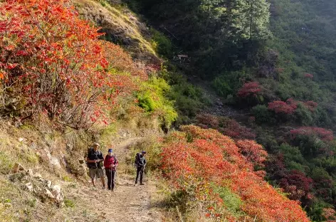 Entre Chumling et Chokhang Paro Tsum vallée- Népal