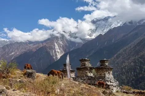 Entre Chumling et Chokhang Paro Tsum vallée- Népal