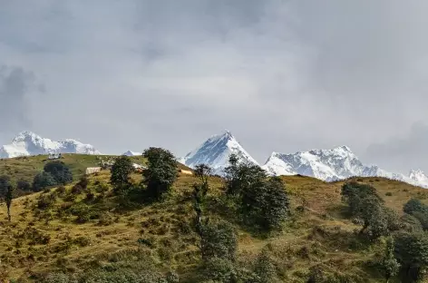 Entre Barpak et Laprak Manaslu- Népal