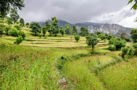 Manaslu- Népal