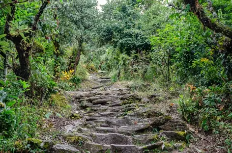 Manaslu- Népal