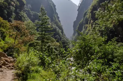 Entre Lokpa et Bihi Phedi Manaslu Népal