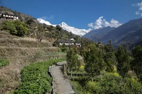 Paysage typique de ce flanc Sud des Annapurnas - 