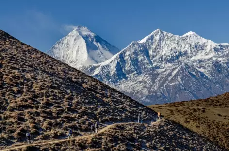 Daulhagiri en allant sur Lupra Népal