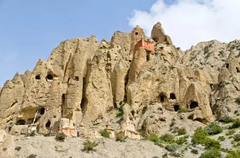 Lori Gompa Mustang