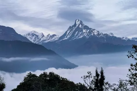 Machhapucahre depuis Tadapani