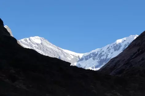 Entre Himalaya et Machhapuchhare base camp