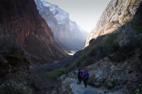 Entre Himalaya et Machhapuchhare base camp