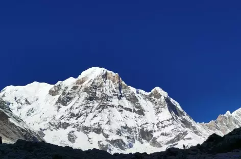 Entre MBC et Annapurna base camp