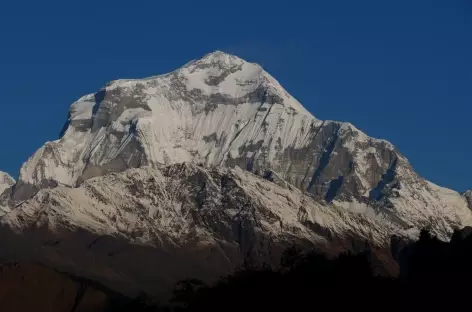 Dhaulagiri