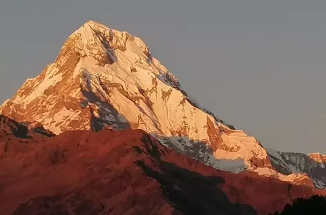 Annapurna Sud depuis Ghorepani