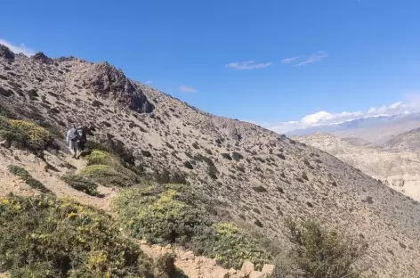 Col du Mani La, Mustang