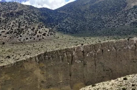 Camp des vergers, Mustang