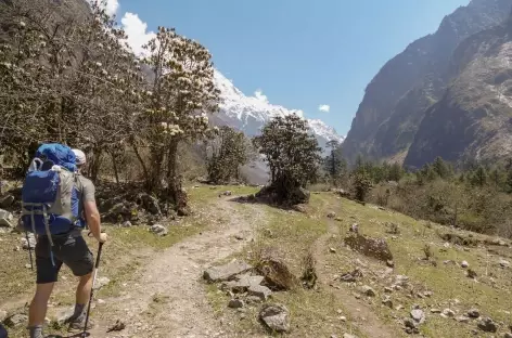 Vers Ghora Tabela - Langtang