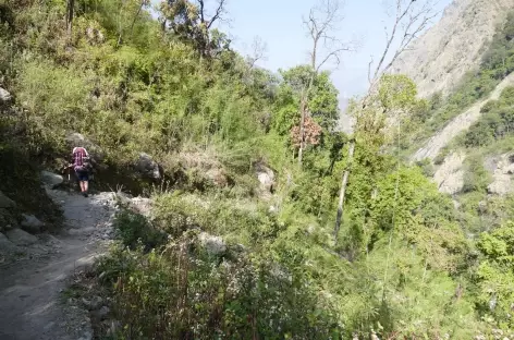 Vers Bamboo - Langtang