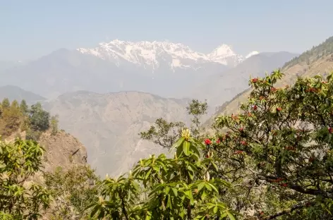 Massif du Paldor - Langtang