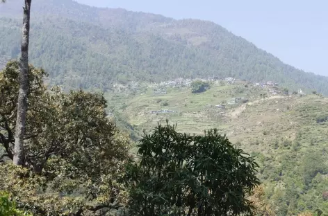 Village de Thulo Shyabru - Langtang