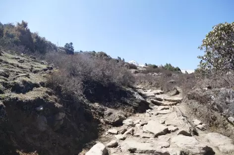 Crête vers Laurebina Yak - Langtang