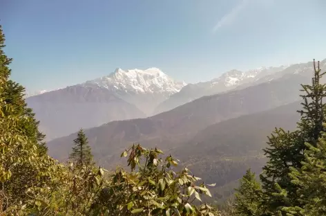 Vue sur le Langtang Lirung - Langtang