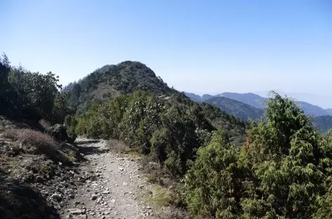 Crête vers Thadepati - Langtang