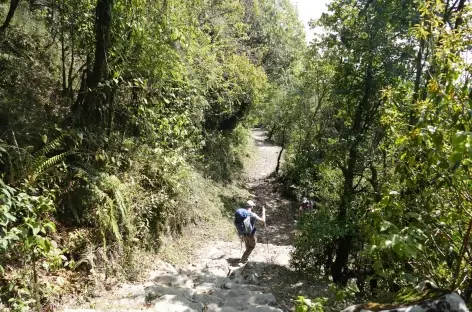 Vers Kutumsang - Langtang