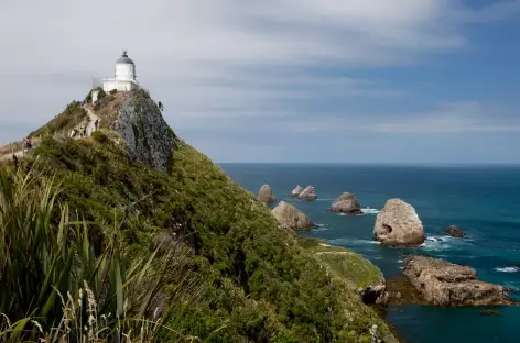 Phare de Nugget Point, côte des Catlins - Nouvelle Zélande