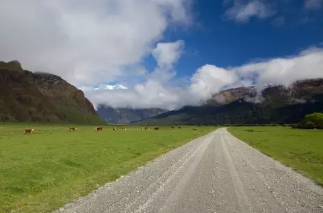 Piste pour rejoindre la vallée de Rob Roy, massif d'Aspiring - Nouvelle Zélande