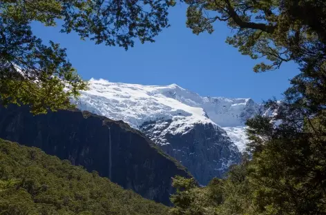 Glacier de Rob Roy - Nouvelle Zélande
