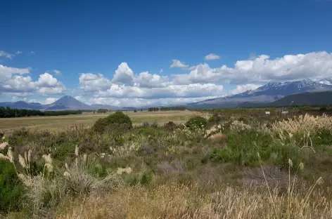 Marche dans le massif du Tongariro, en direction des Tama Lakes - Nouvelle Zélande