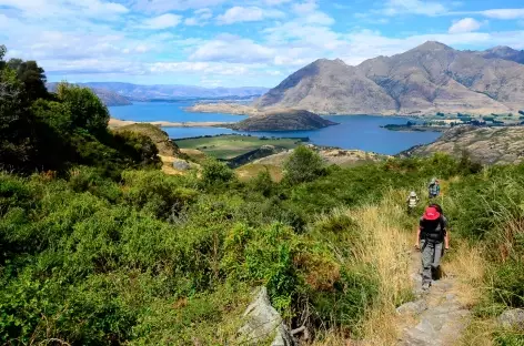 Randonnée de Diamond Lake, au-dessus du lac de Wanaka - Nouvelle Zélande