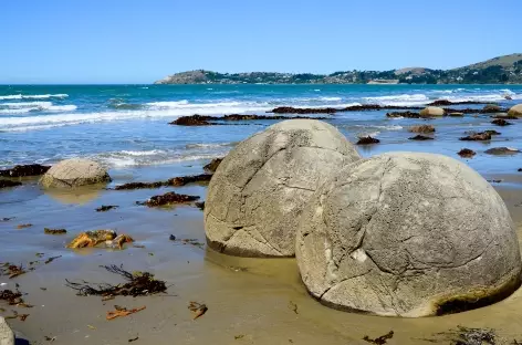 Les célèbres boulders de Moeraki - Nouvelle Zélande