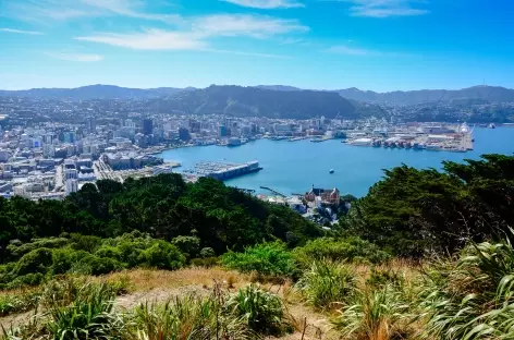 Wellington depuis le Mt Victoria - Nouvelle Zélande