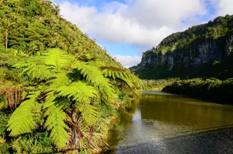 Vers Punaikaiki - Nouvelle Zélande