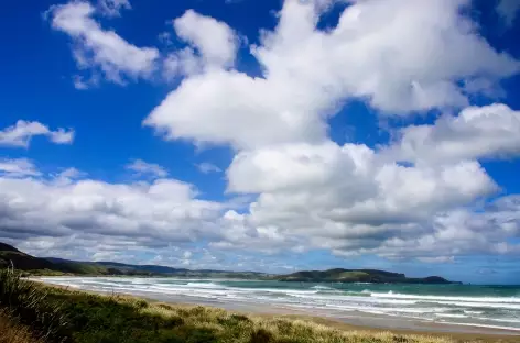 Belle côte sauvage des Catlins - Nouvelle Zélande