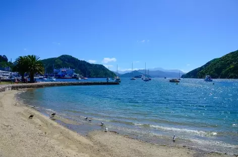 Dans la baie de Picton - Nouvelle Zélande