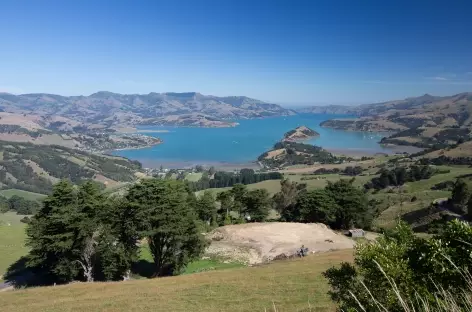 Sur les hauteurs de Akaroa - Nouvelle Zélande