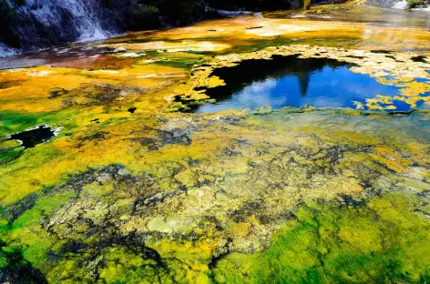 Site géothermique de Waimangu, Rotorua - Nouvelle Zélande - 