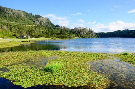 Vers le site de Orakei Korako - Nouvelle Zélande