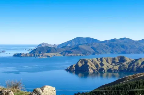 Randonnée sur le Queen Charlotte Track - Nouvelle Zélande