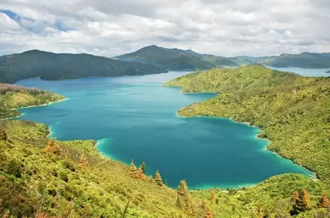 Randonnée sur le Queen Charlotte Track - Nouvelle Zélande